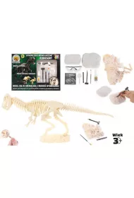 Wykopaliska archeologiczne - dinozaury Pro Kids