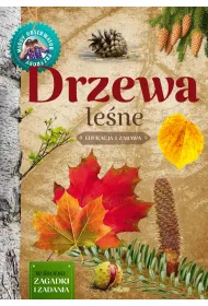 Drzewa le�ne m�ody obserwator przyrody