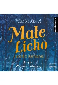 Audiobook Ma�e Licho i anio� z kamienia CD