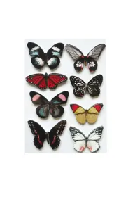 Craft Shop Motyle samoprzylepne