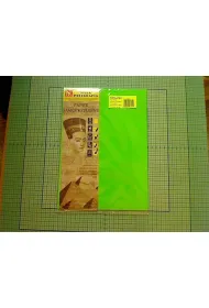 Protos Papier samoprzylepny A4 10 szt.