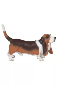 Basset