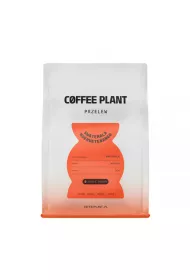 Coffee Plant Kawa ziarnista Gwatemala Huehuetenango Filter 250 g