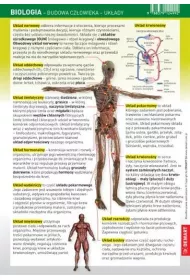 Demart cigawka. Biologia. Budowa Czowieka. Ukady