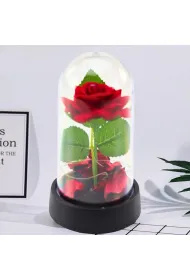 Wieczna R�a w Kopule z O�wietleniem LED