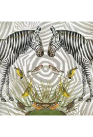 Museums & Galleries Karnet kwadrat z kopert� Zebra