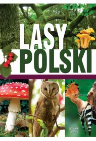 Lasy polskie