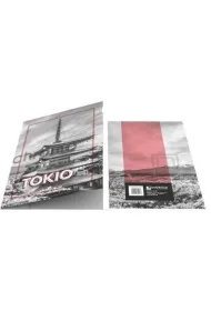 Teczka A4 lux z gumk� nadruk CITY