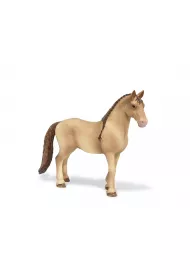 Lusitano klacz