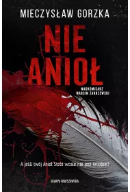 Nie Anio