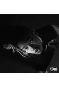 Grey Area (vinyl)