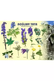 Tablica 100x72cm Ro�liny Tatr. Jaskrowate