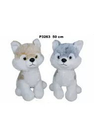 Husky 50cm MIX Sun-Day