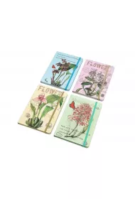 Adar Notes w kratk� MIX
