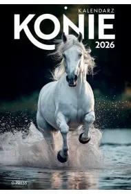 Opress Kalendarz 2026 A4 wieloplanszowy Konie