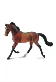 Klacz Thoroughbred ma�ci Bay