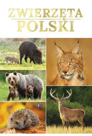 Zwierz�ta Polski