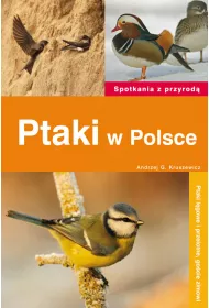 Ptaki w Polsce spotkania z przyrod�