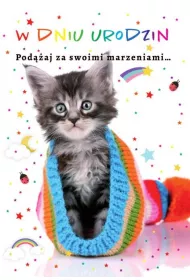 Trend Kartka okoliczno�ciowa Urodziny TS09