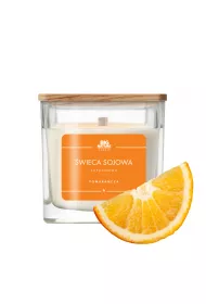 Big Nature wieca sojowa zapachowa Pomaracza 205 g