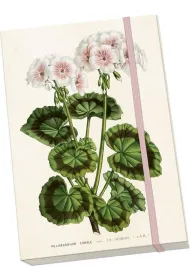 Skona Ting Notatnik ozdobny A5 STNOTE 148 Bia�a pelargonia