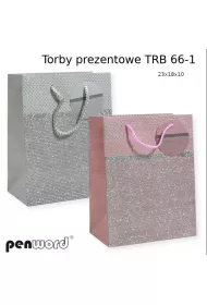 Penword Torebka prezentowa mix 23x18x10cm