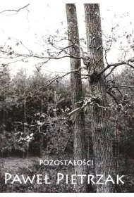 Pozosta�o�ci