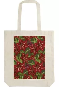 Skona Ting Torba bawe�niana STBAG 66 Gwiazda Betlejemska BN