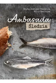 Ambasada ledzia