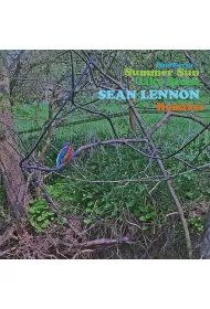 Summer Sun Like Stone Sean Ono Lennon Remix (vinyl)