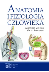 Anatomia i fizjologia cz�owieka