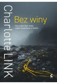 Bez winy