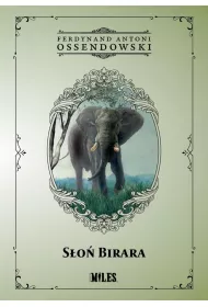 S�o� Birara