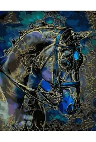 Twoje Hobby Malowanie po numerach czarne p��tno - Kr�lewski... 40x50cm