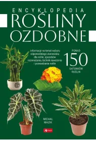 Ro�liny ozdobne
