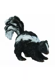 Skunks