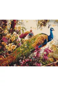 Paint it! Malowanie po numerach - Kwitn�ce pawie 40x50cm