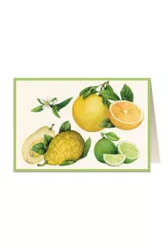 Tassotti Karnet B6 + koperta 5851 Cytrusy