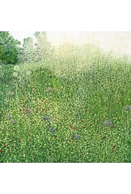 Susan Entwistle Karnet z kopert� Trawy Harlow Carr