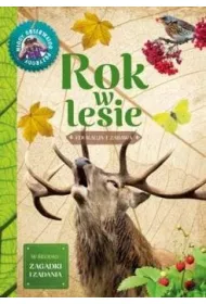 Mody obserwator przyrody - Rok w lesie