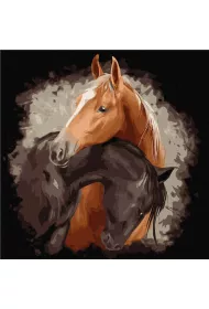 Ideyka Malowanie po numerach - Pe�ne wdzi�ku pi�kno 40x40cm