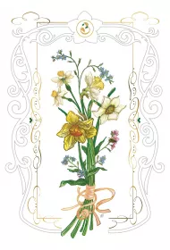 DaVinci Karnet B-BD 502 065 + koperta �onkile 12x18 cm
