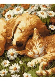 Ideyka Malowanie po numerach - P�atki i wierno�� 30x40cm