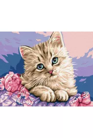 Twoje Hobby Malowanie po numerach - Niebieskooki kotek 40x50cm