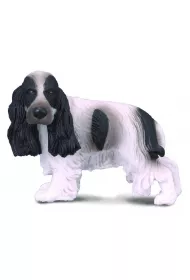 Pies cocker spaniel angielski