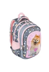St. Majewski Plecak 4-komorowy Sweet Pomeranian