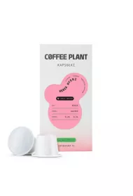 Coffee Plant Kenia Nyeri Kawa w kapsukach 10 x 5 g