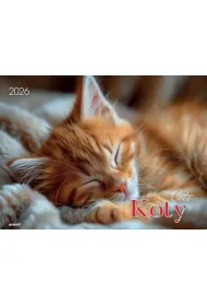 Kalendarze �cienne Kalendarz albumowy 2026 Koty KA-1