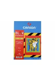 Canson Blok rysunkowy A4 10 kartek