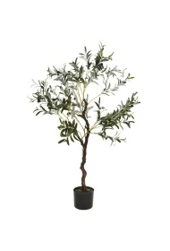 ProGarden Oliwne drzewko w donicy due 120 cm